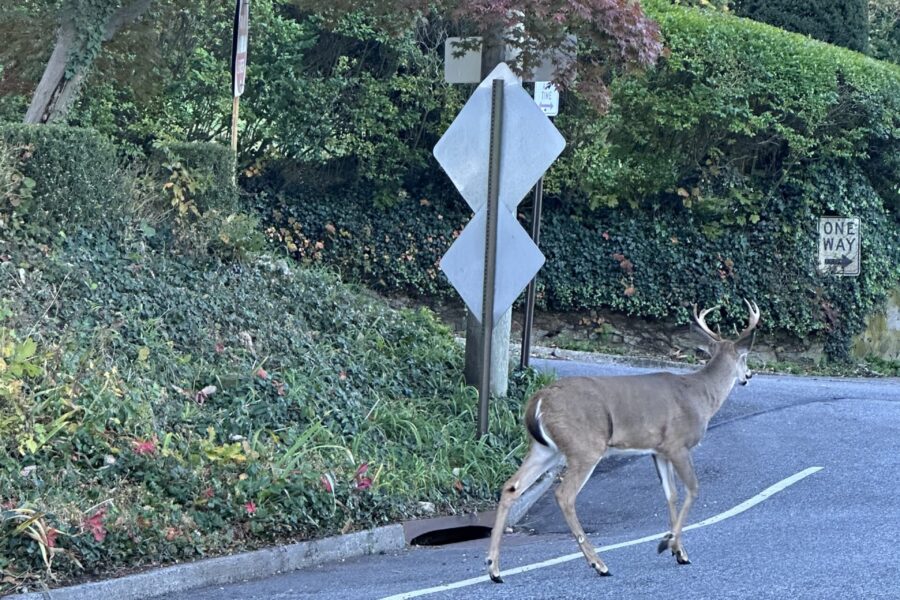 Finding Our Way Home