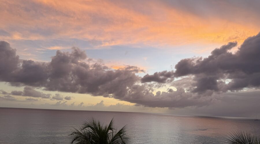 The Lesson of Barbados