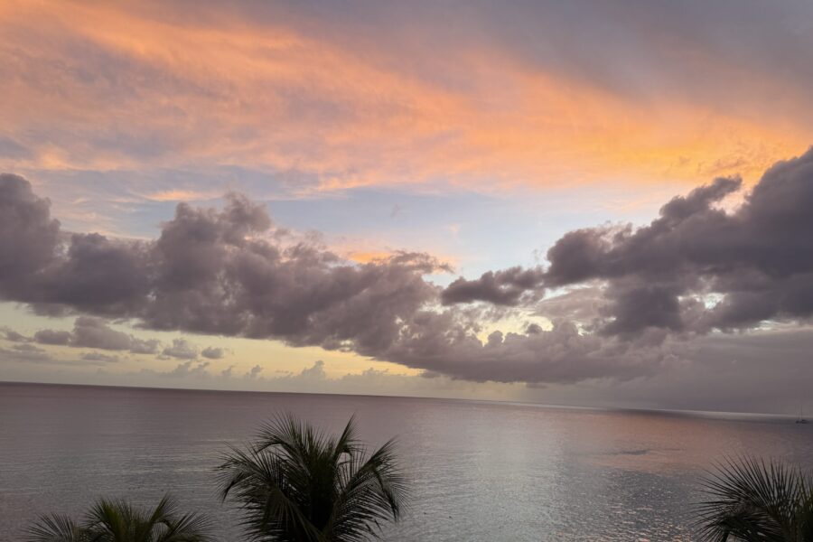 The Lesson of Barbados